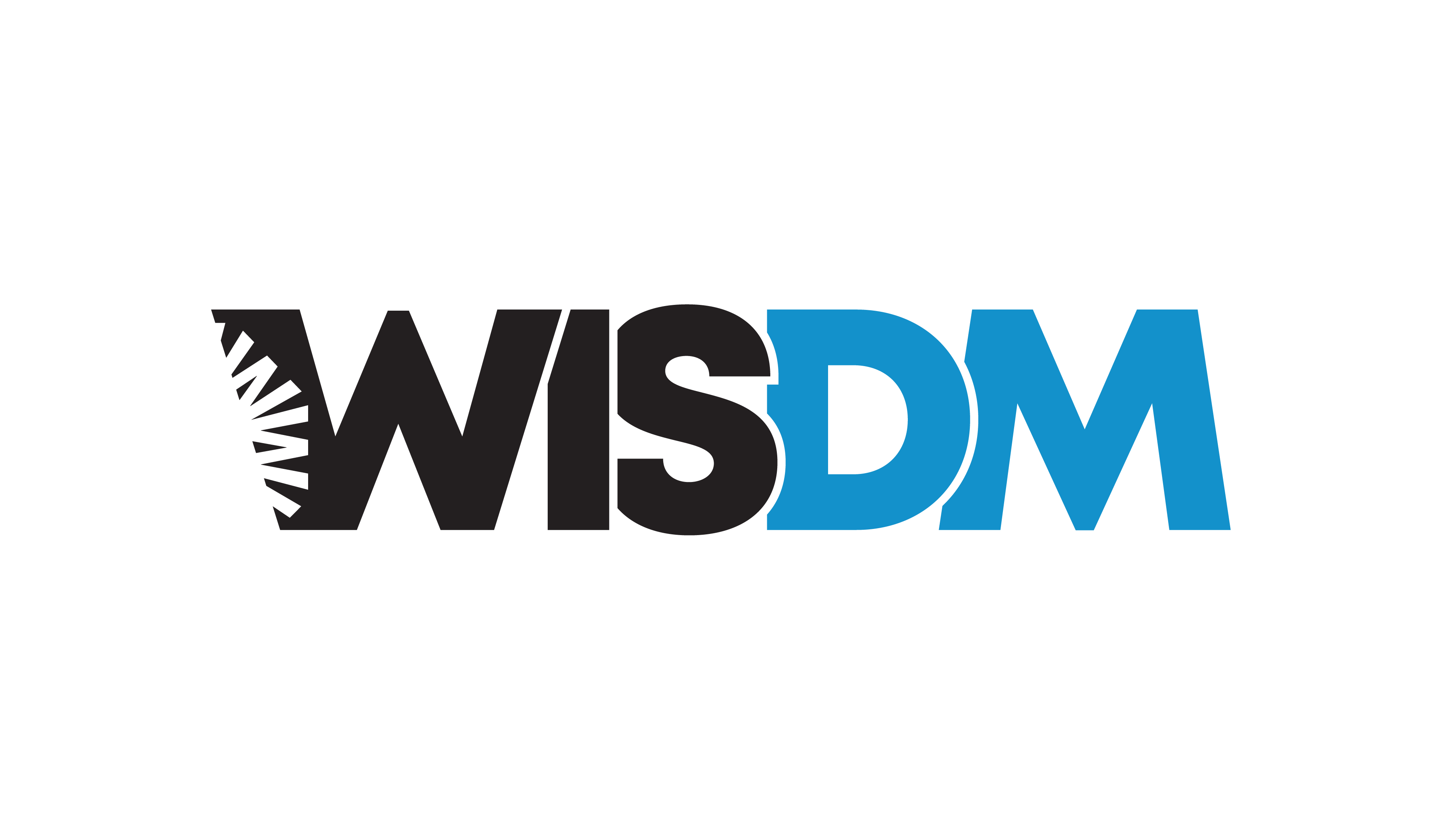 WISDM product logo. Circular W logo from Western Integrated Systems embedded into the W of the logo with the letters WISDM